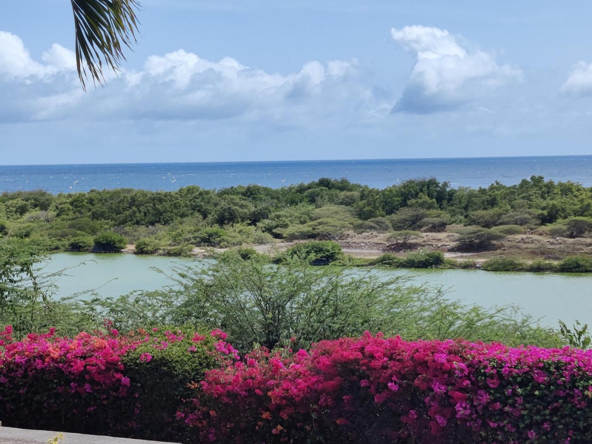 Royal Palm Resort Curacao Geweldig Zeezicht Виллемстад Экстерьер фото
